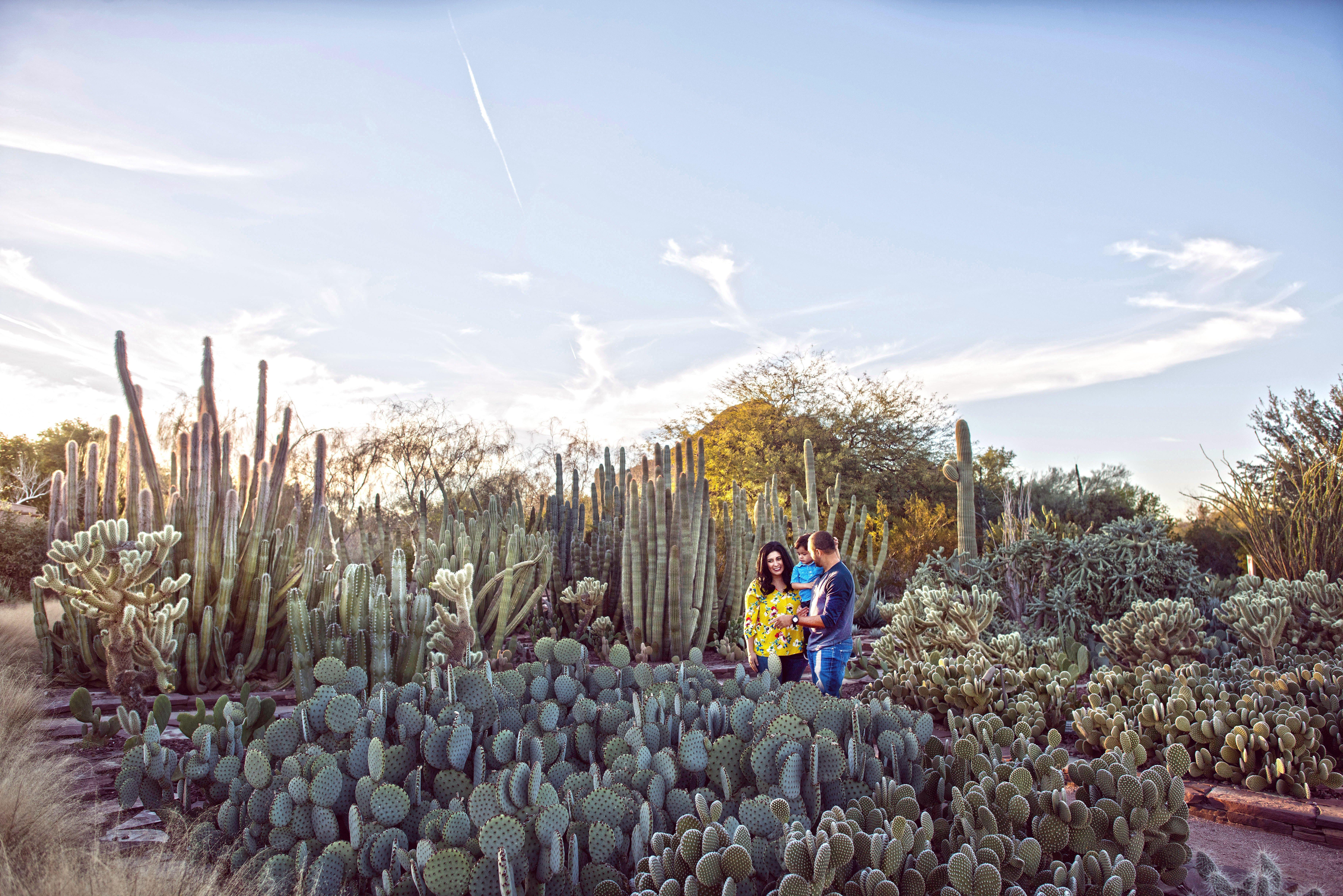 Holiday Inn Express & Suites - Phoenix - Airport North By Ihg Extérieur photo