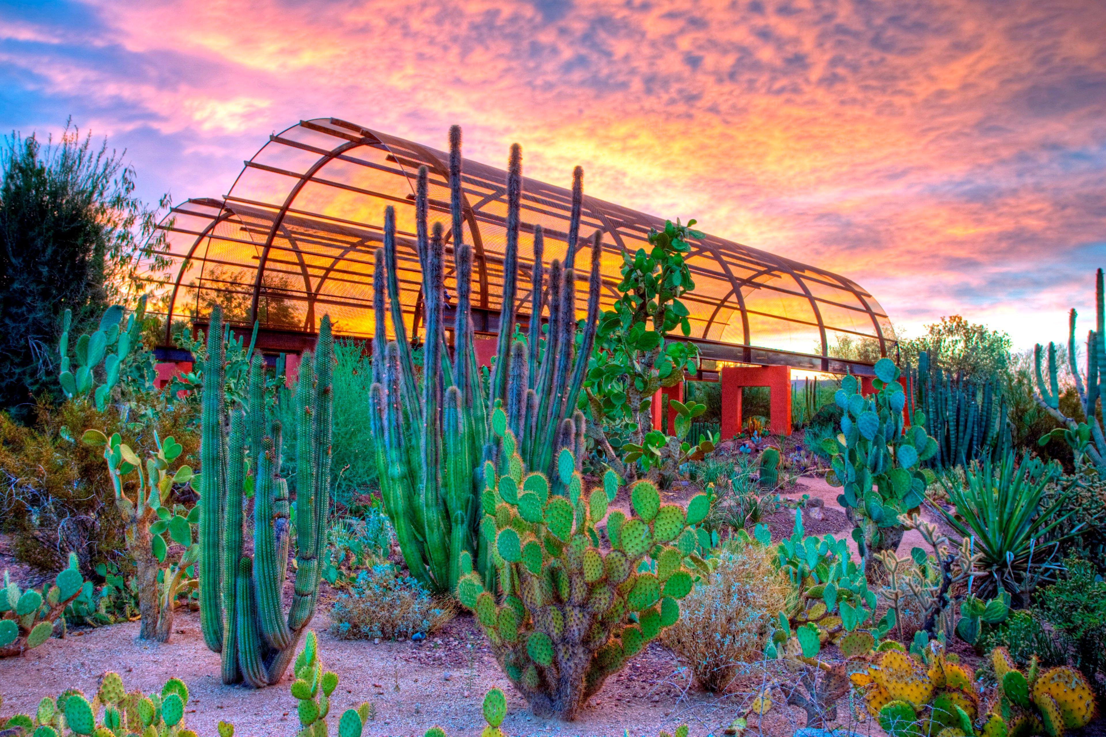 Holiday Inn Express & Suites - Phoenix - Airport North By Ihg Extérieur photo